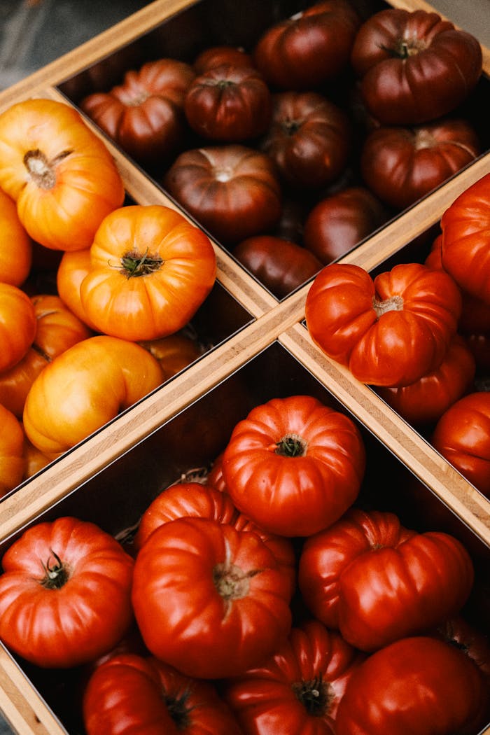 A vibrant assortment of red, yellow, and brown heirloom tomatoes in wooden crates, ideal for food photography