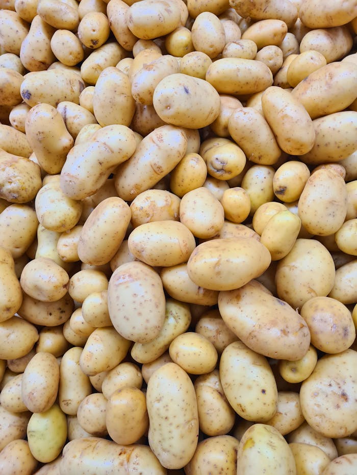Pile of freshly harvested organic potatoes in varying sizes and shades of brown.