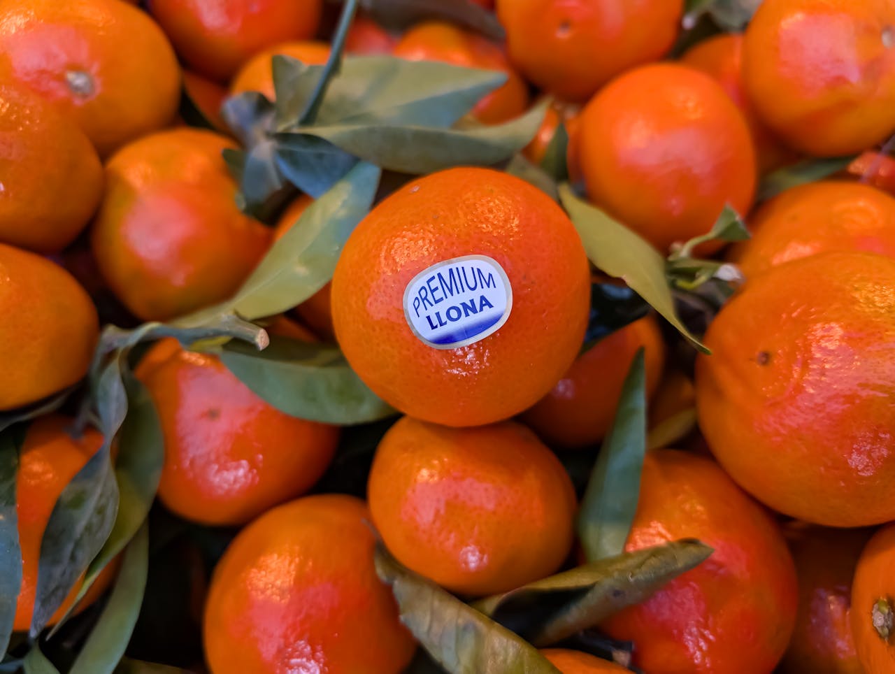 Close-up of vibrant premium oranges with green leaves, perfect for healthy eating content.
